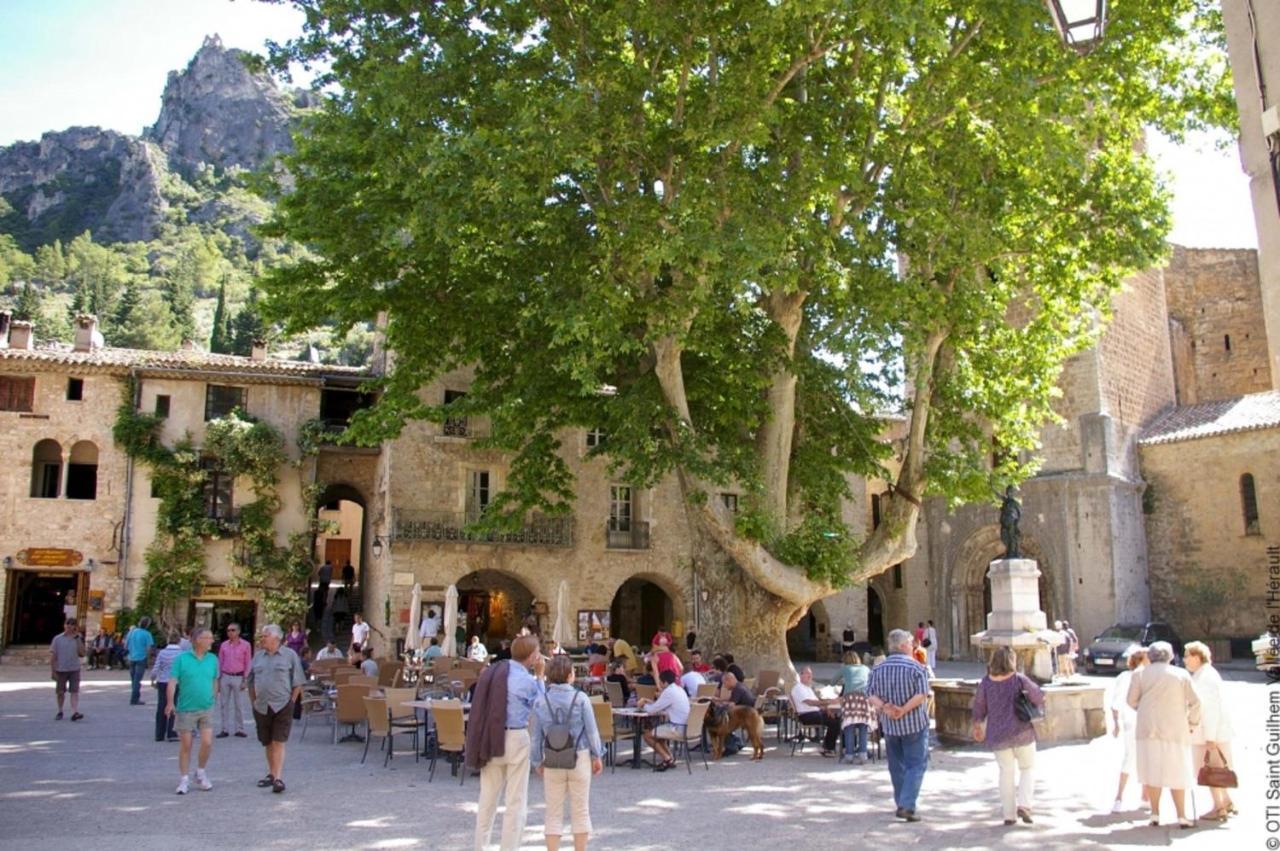 "Le Patio"-Meuble De Tourisme 3 Etoiles -Residence "Les Logis De Beziers"-Garage Optionnel-Coeur De Ville-Plages A 16Km ! Екстериор снимка