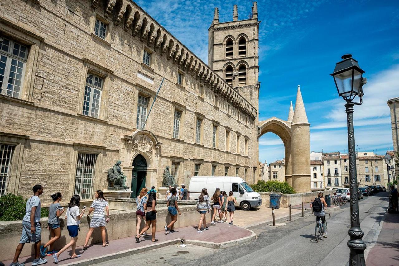 "Le Patio"-Meuble De Tourisme 3 Etoiles -Residence "Les Logis De Beziers"-Garage Optionnel-Coeur De Ville-Plages A 16Km ! Екстериор снимка